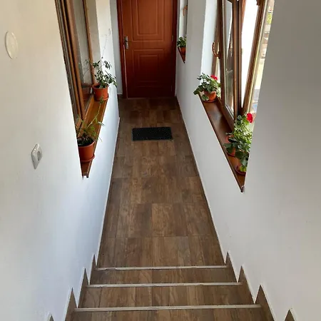 Casa Noastra *